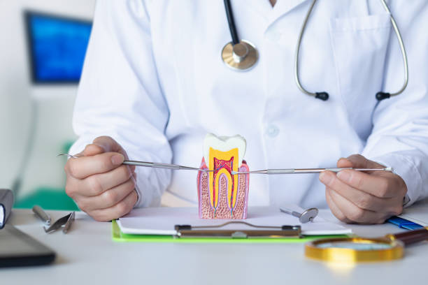 Best Dental Abscess Treatment in Festus, MO